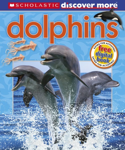Фото Discover More. Dolphins