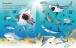 Фото Sharks and Rays 3