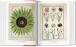 Фото A Garden Eden. Masterpieces of Botanical Illustration. 40th Edition 3