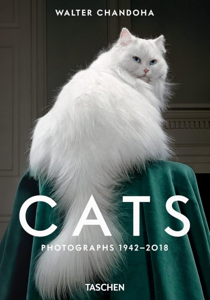 Фото Walter Chandoha. Cats. Photographs 1942-2018