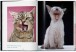 Фото Walter Chandoha. Cats. Photographs 1942-2018 4