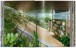 Фото Contemporary Japanese Architecture. 40th Edition 4