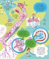 Фото Big Book of the Body 3