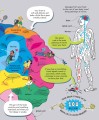 Фото Big Book of the Body 5