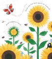 Фото Lift-the-Flap First Questions & Answers: How Do Flowers Grow? 3