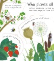 Фото Lift-the-Flap First Questions & Answers: How Do Flowers Grow? 4
