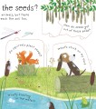 Фото Lift-the-Flap First Questions & Answers: How Do Flowers Grow? 5