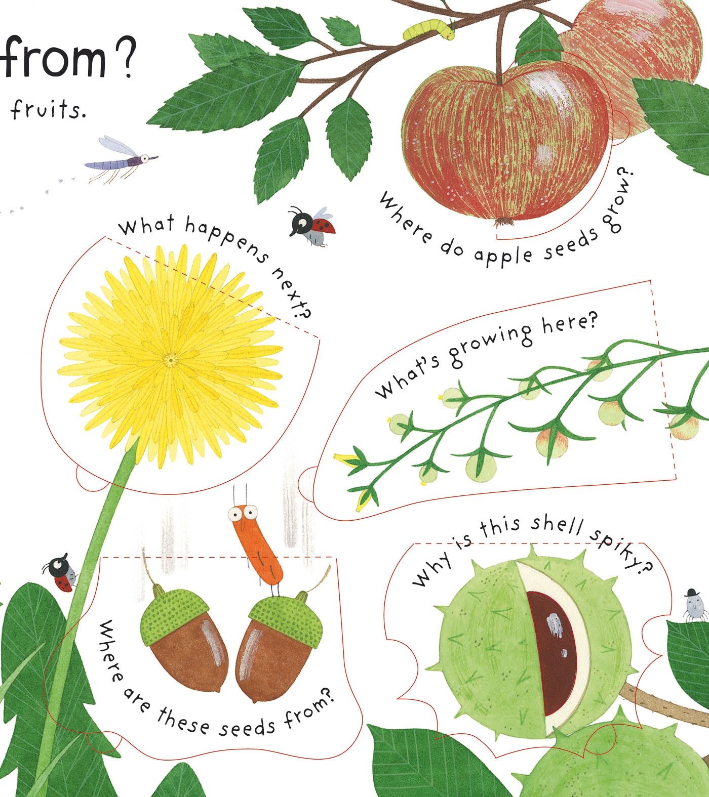 Hidden Product Image 7