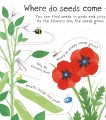 Фото Lift-the-Flap First Questions & Answers: How Do Flowers Grow? 6