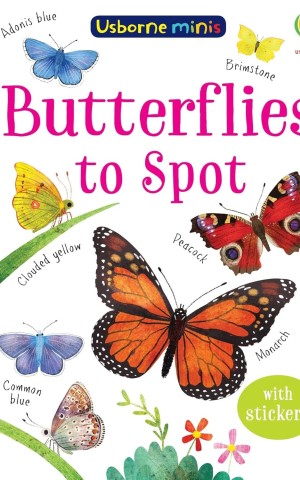 Minis. Butterflies to Spot