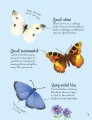 Фото Minis. Butterflies to Spot 3