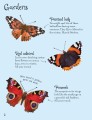 Фото Minis. Butterflies to Spot 2