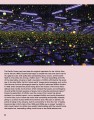 Фото Yayoi Kusama. 1945 to Now 2