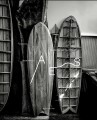 Фото Waves. Pro Surfers and Their World 5