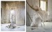 Фото Tim Walker. Story Teller 3