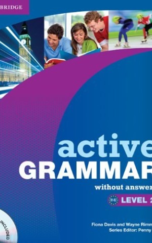 Active Grammar. Level 2. Without answers