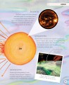 Фото Amazing Space 6
