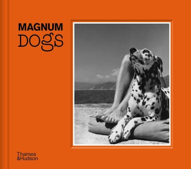 Фото Magnum Dogs