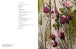 Фото Dior in Bloom 2
