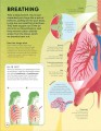 Фото Brain Booster: Human Body 6