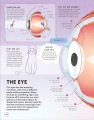 Фото Brain Booster: Human Body 4