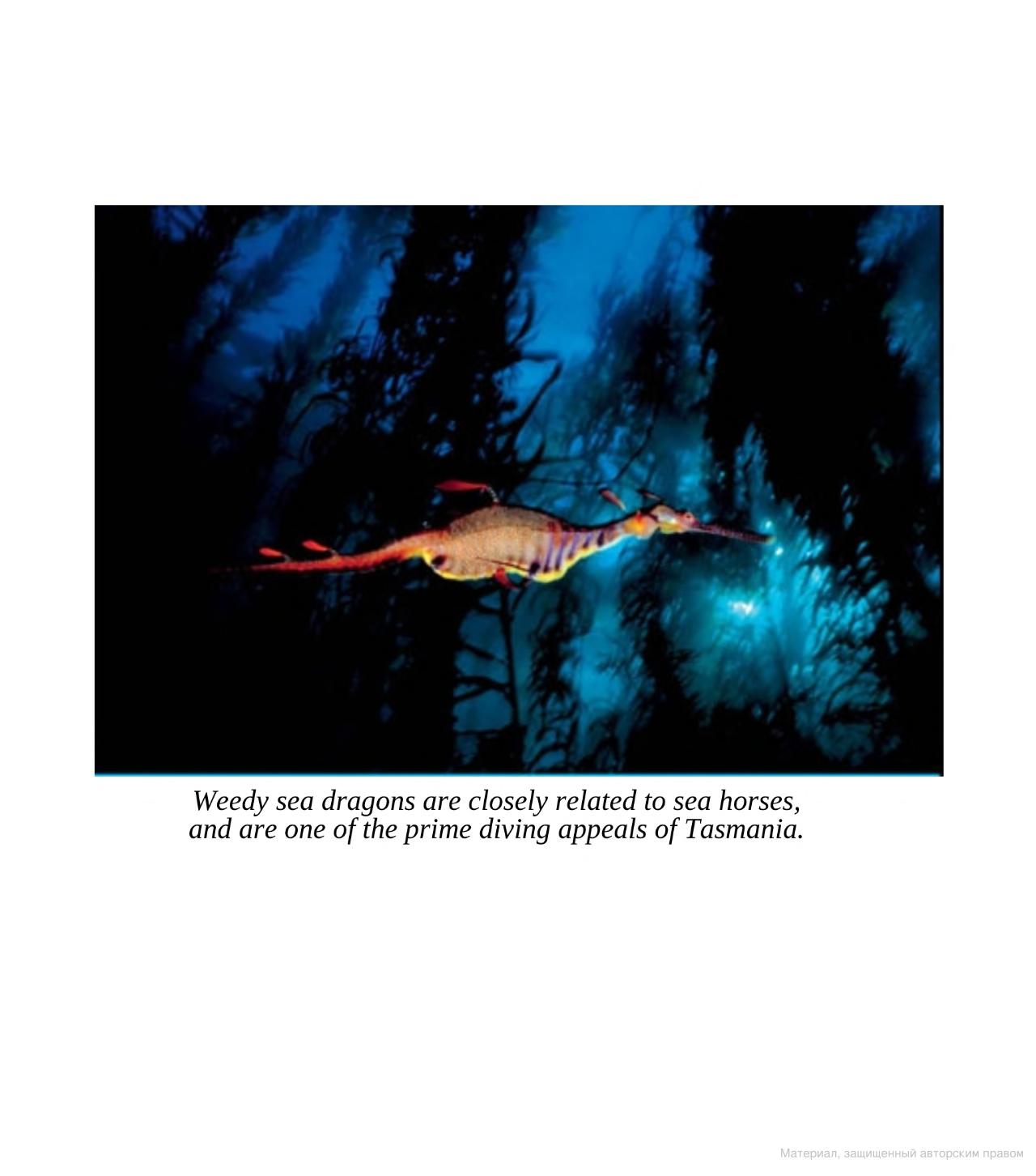 Hidden Product Image 12