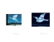 Фото René Magritte: The Fifth Season 3