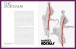 Фото Marcel Rochas: Designing French Glamour 3