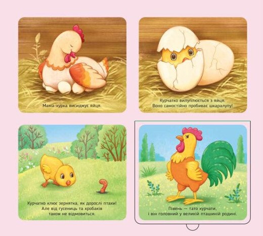Hidden Product Image 6