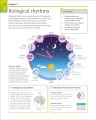 Фото Super Simple Psychology 2