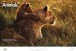 Фото Our World (2nd Edition) Starter Student's Book+Spark 2