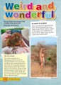 Фото Explore English. Student's Resource Book. Stage 5 4