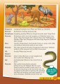 Фото Explore English. Student's Resource Book. Stage 5 5