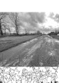 Фото Українські щоденники 6
