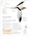 Фото The Bird Book 2
