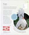 Фото The Bird Book 3