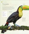 Фото The Bird Book 4