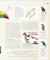 Фото The Bird Book 5