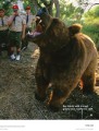 Фото Our World (2nd Edition) 2 Student's Book+Spark platform 3