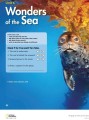 Фото Our World (2nd Edition) 4 Student's Book+Spark platform 2