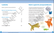 Фото Cambridge Early Years Learner's Book 1B 4