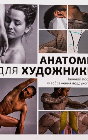 Анатомія для художників. Наочний посібник із зображення людського тіла