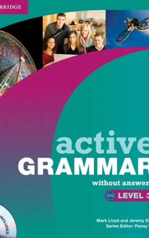 Active Grammar Level 3 Book without answers and CD-ROM