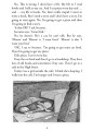 Фото Book Boy. Beginner 5