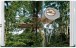 Фото Tree Houses 5