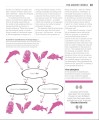 Фото The Philosophy Book 6