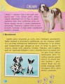 Фото Мініенциклопедія. Хатні улюбленці 4