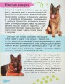 Фото Мініенциклопедія. Хатні улюбленці 6