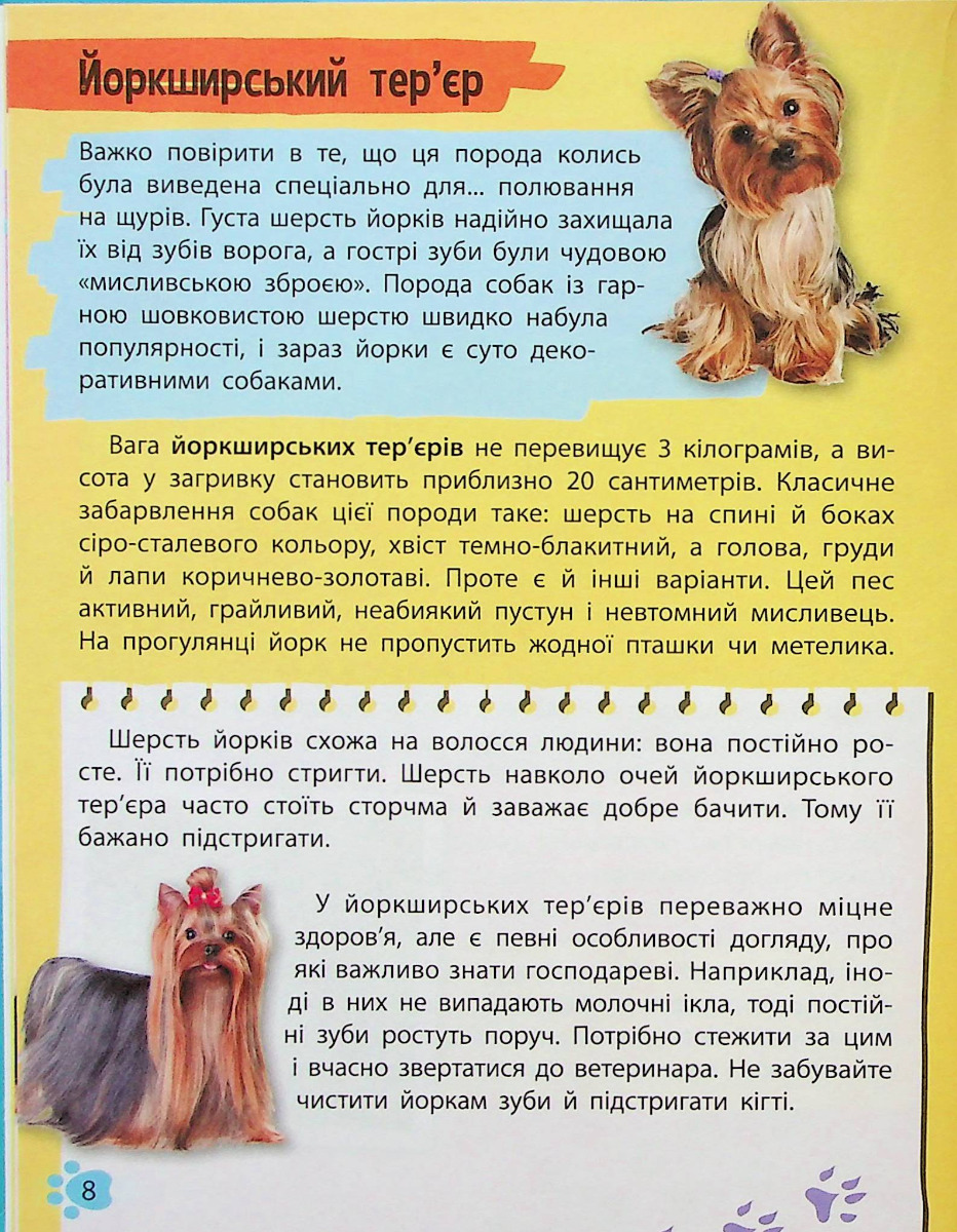 Hidden Product Image 8
