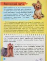 Фото Мініенциклопедія. Хатні улюбленці 8